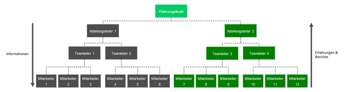 Typical hierarchy in companies: Manager, head of department, team leader